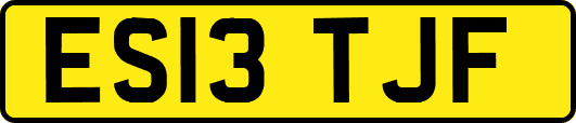 ES13TJF