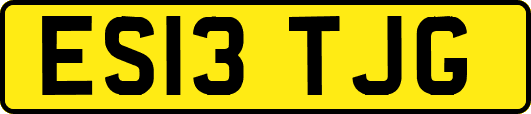 ES13TJG