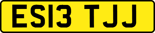 ES13TJJ