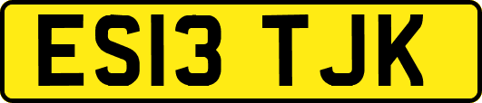 ES13TJK