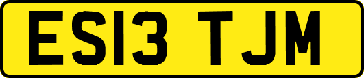 ES13TJM