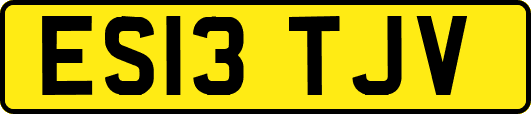 ES13TJV