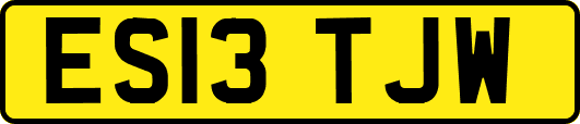ES13TJW