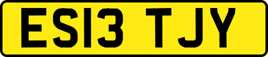 ES13TJY