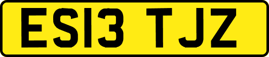 ES13TJZ