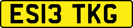 ES13TKG