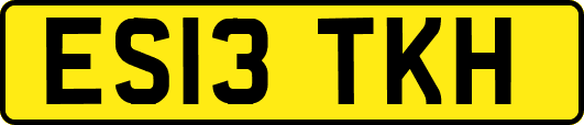 ES13TKH