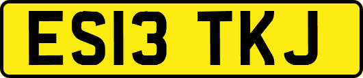 ES13TKJ