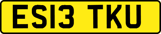 ES13TKU