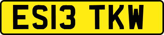 ES13TKW