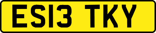 ES13TKY