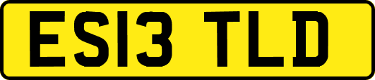 ES13TLD