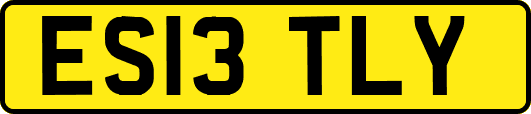 ES13TLY