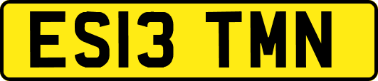 ES13TMN
