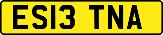 ES13TNA