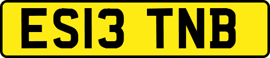 ES13TNB