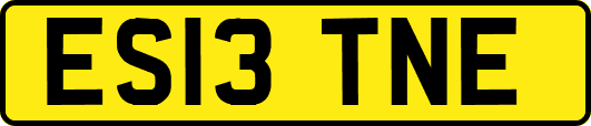 ES13TNE