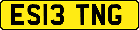 ES13TNG