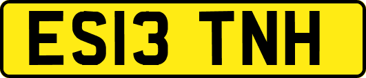 ES13TNH