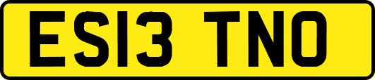 ES13TNO