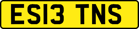 ES13TNS