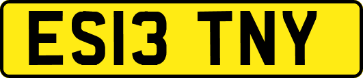 ES13TNY