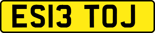 ES13TOJ