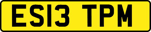 ES13TPM