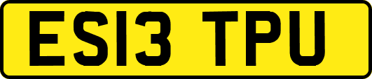 ES13TPU