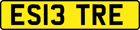 ES13TRE