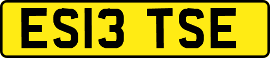 ES13TSE
