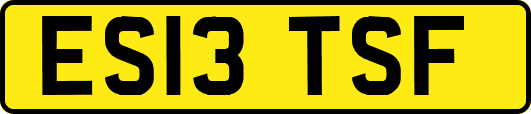 ES13TSF