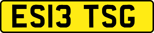 ES13TSG