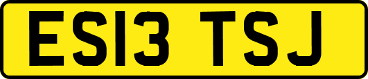 ES13TSJ