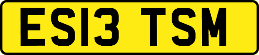 ES13TSM