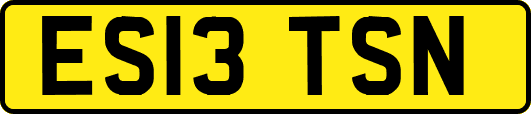ES13TSN