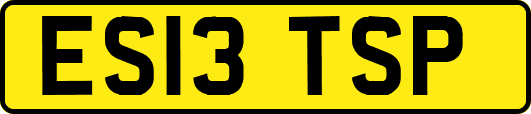 ES13TSP