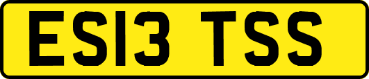 ES13TSS