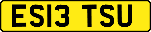 ES13TSU