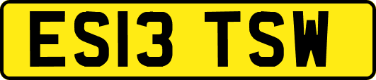 ES13TSW