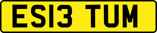ES13TUM