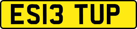 ES13TUP