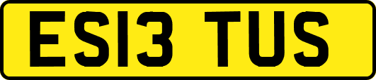 ES13TUS