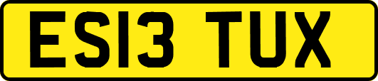ES13TUX