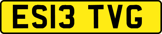 ES13TVG