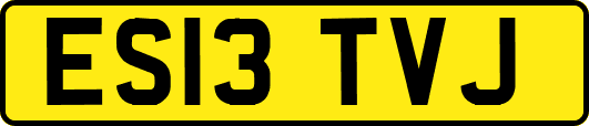 ES13TVJ