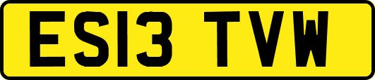 ES13TVW