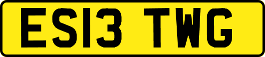 ES13TWG