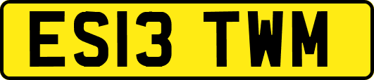 ES13TWM