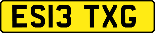 ES13TXG